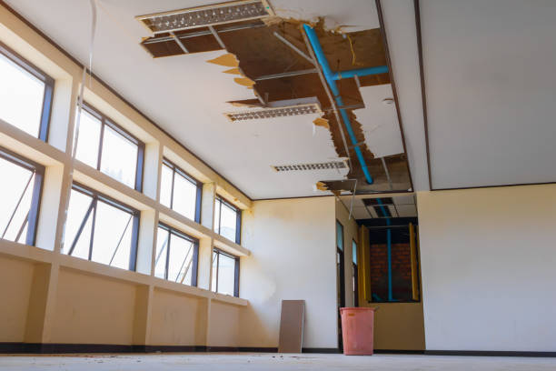 Best Ceiling water damage repair  in Manchester, VA