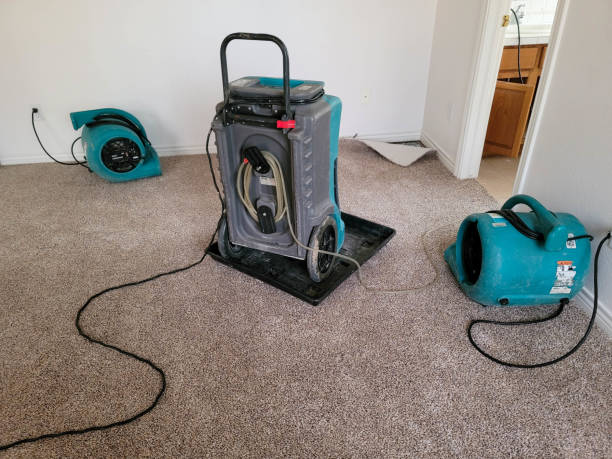 Best Ceiling water damage repair  in Manchester, VA