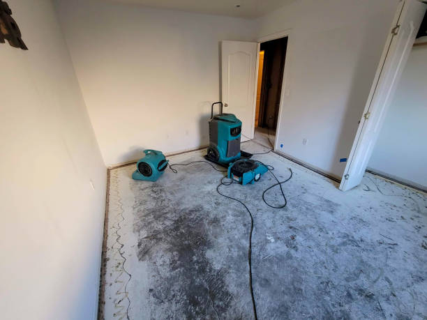 Water damage restoration mold remediation in VA