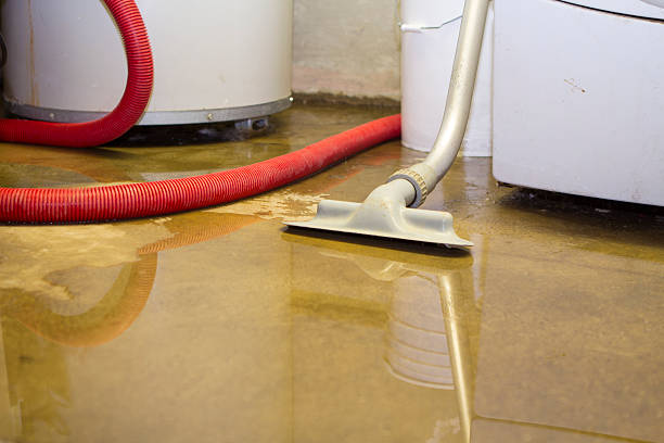 Best Flood damage cleanup  in Manchester, VA